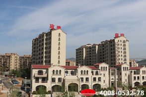 青島中海·玫瑰庭院