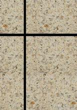 真石漆市場分析